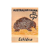unbound badge with an echidna and the trefoil and writing in back on a beige background