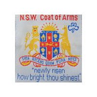 an unbound badge with the NSW coat of arms on a light blue background