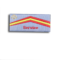 a small rectangular unbound grey badge with a flash of yellow and two flashes of red