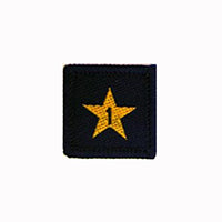 square blue badge with a gold star with the number one in the centre written in blue