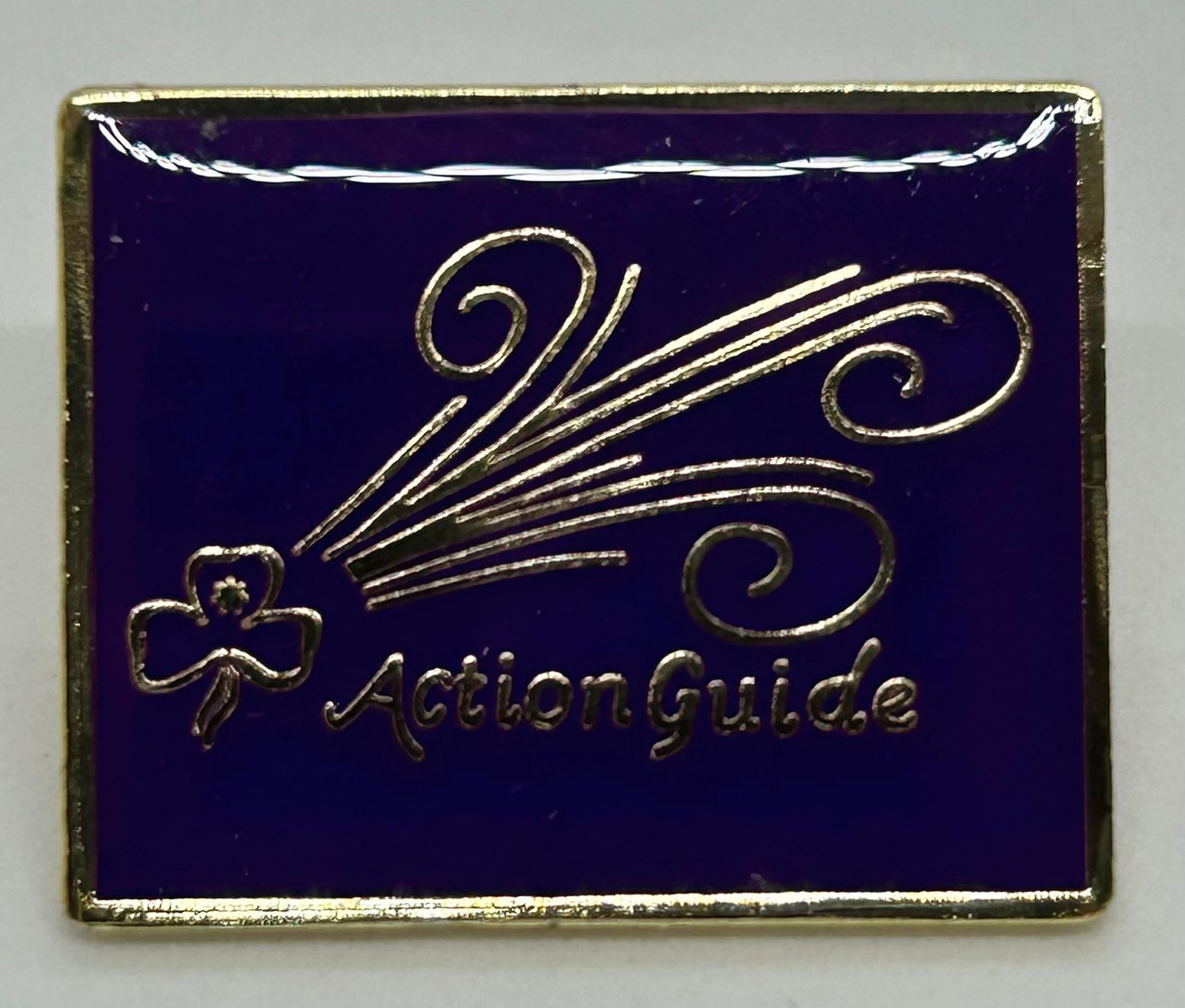an enamel purple badge with the trefoil, swirls and  action guide on the front in gold