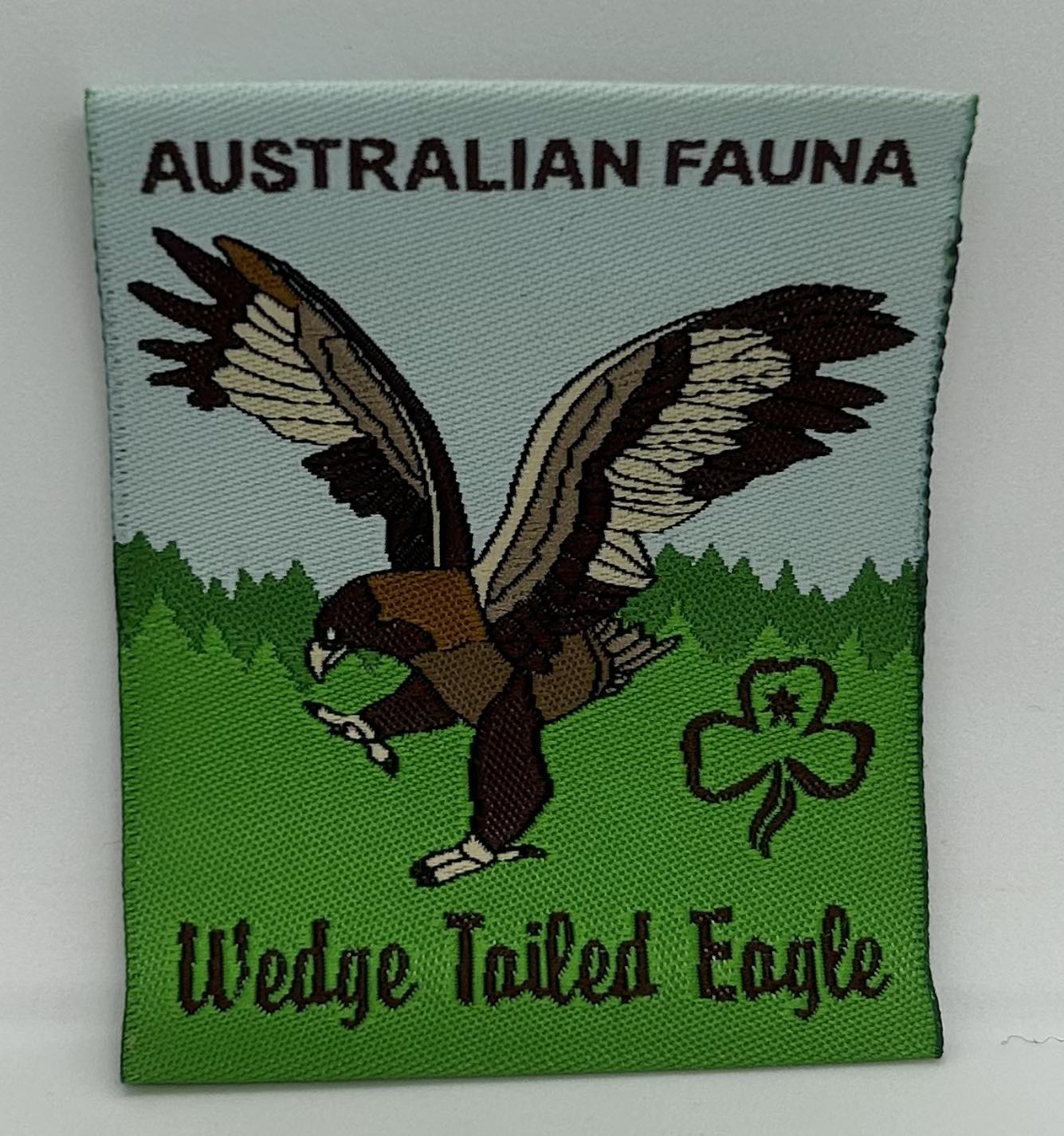 unbound badge with a wedged tailed eagle with it's wings open with the trefoil and the writing in dark brown with a background that is half light blue and half green