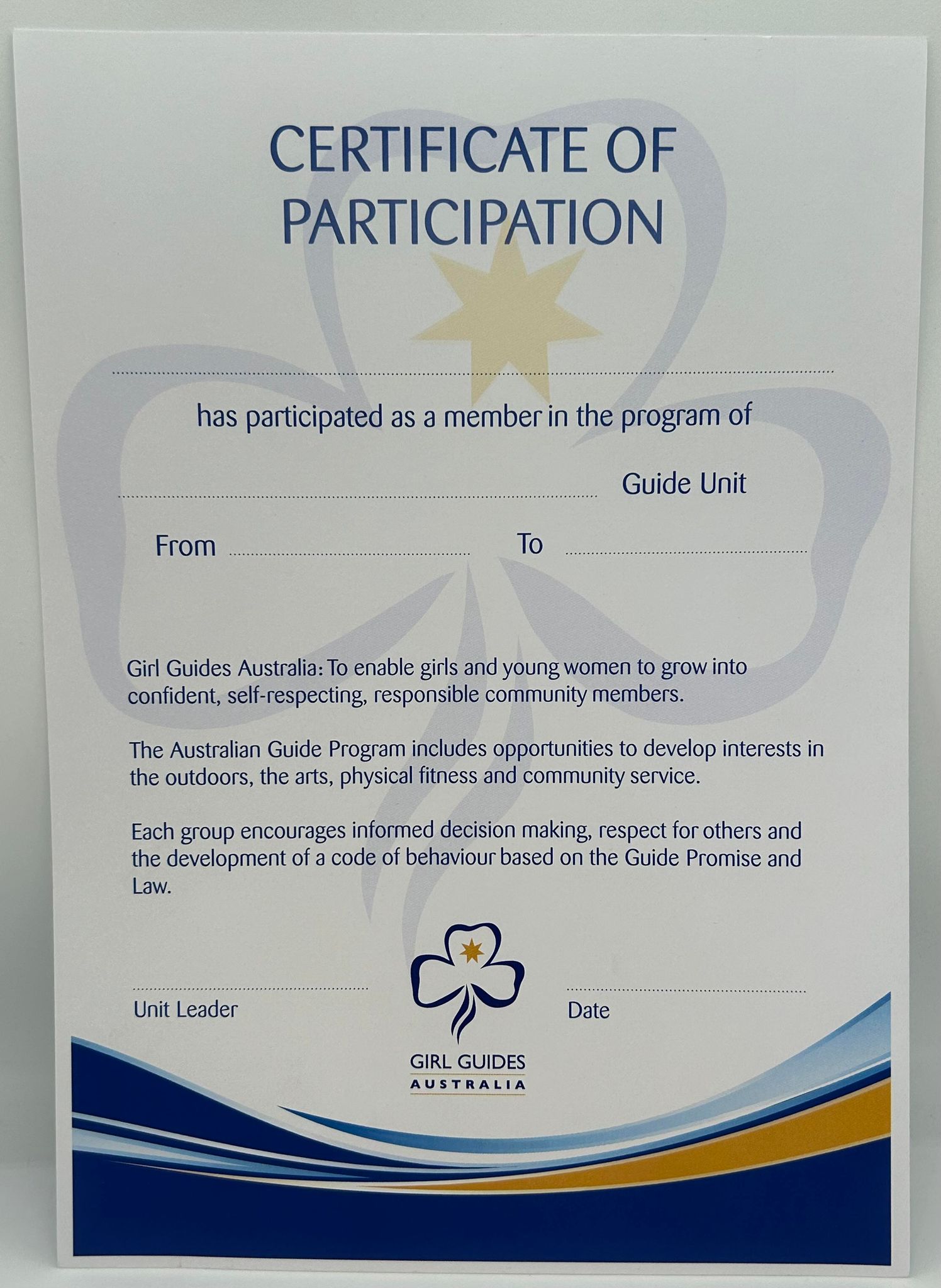 an A4 certificate to say that someone has participated in the program it has blue swirls and a large watermark trefoil