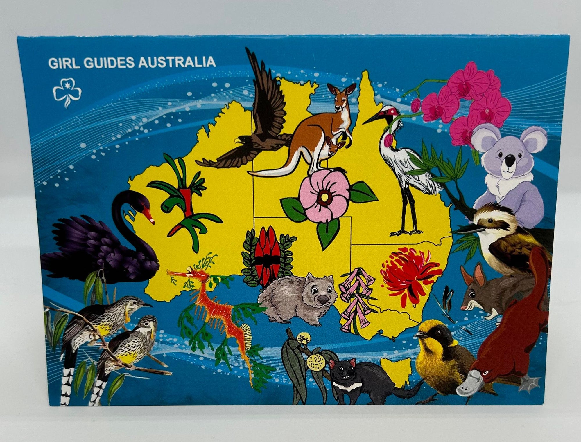a card that is blank inside with a map of Australia and Australian flora and fauna on the front