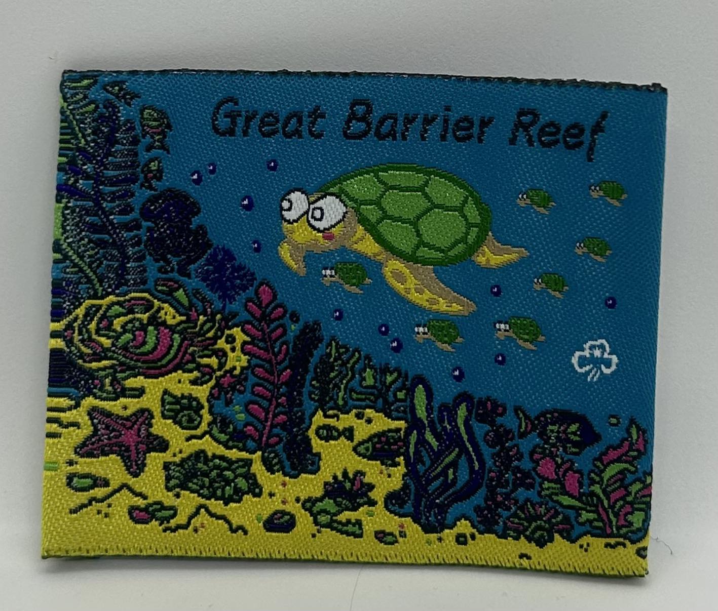 a square unbound badge with a turtle and picture of coral reef