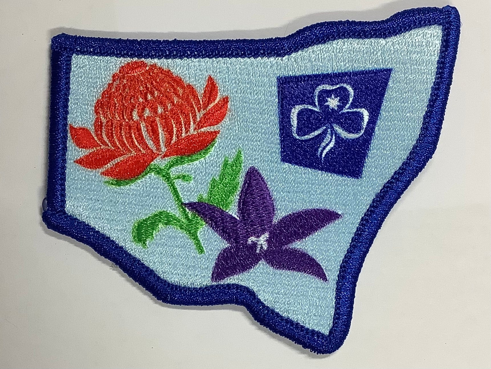 a badge bound in blue in the shape of NSW with the NSW & ACT floral emblem and the trefoil
