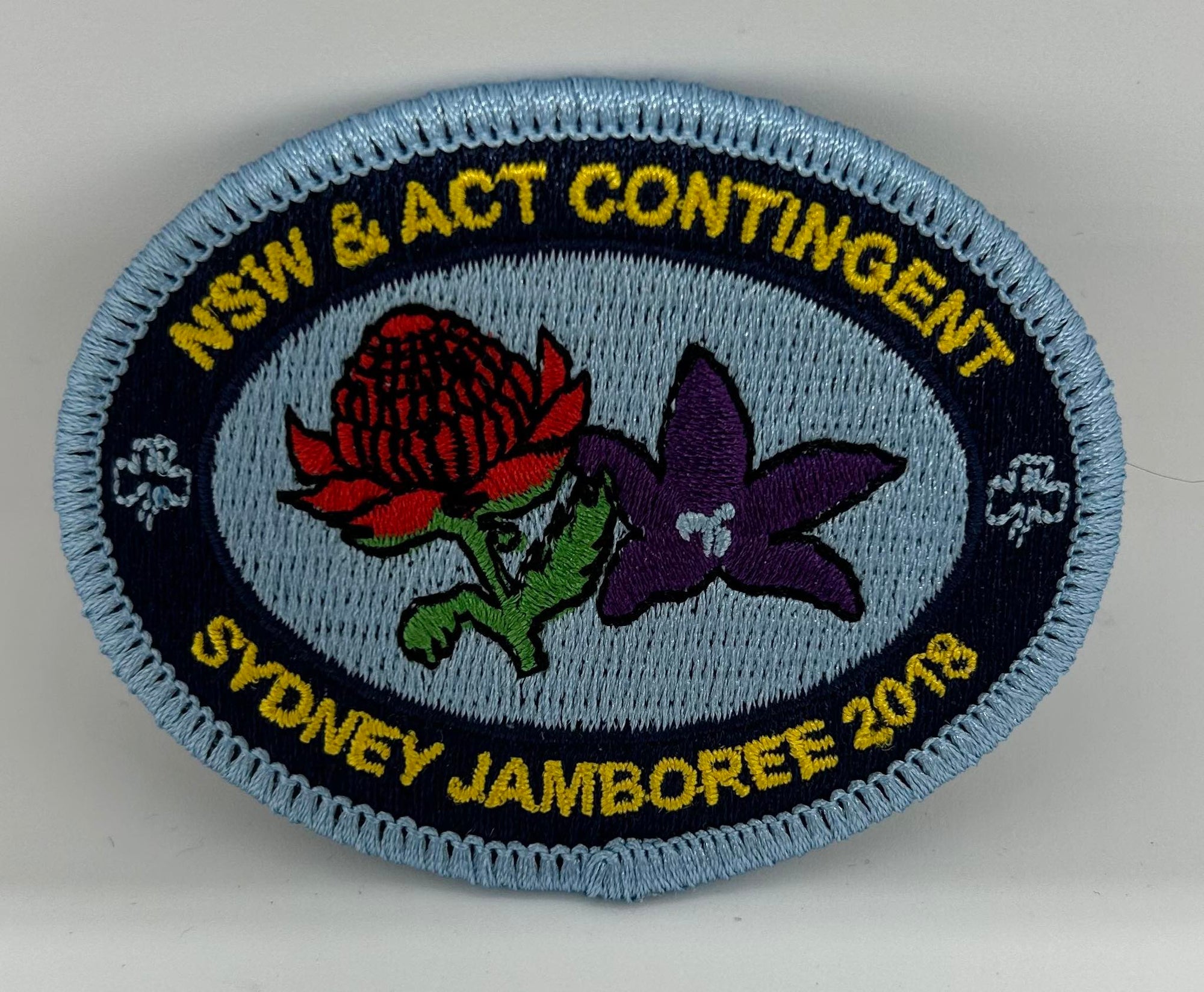 an oval shaped badge withe the NSW ACT floral emblems on the badge that is bound in light blue