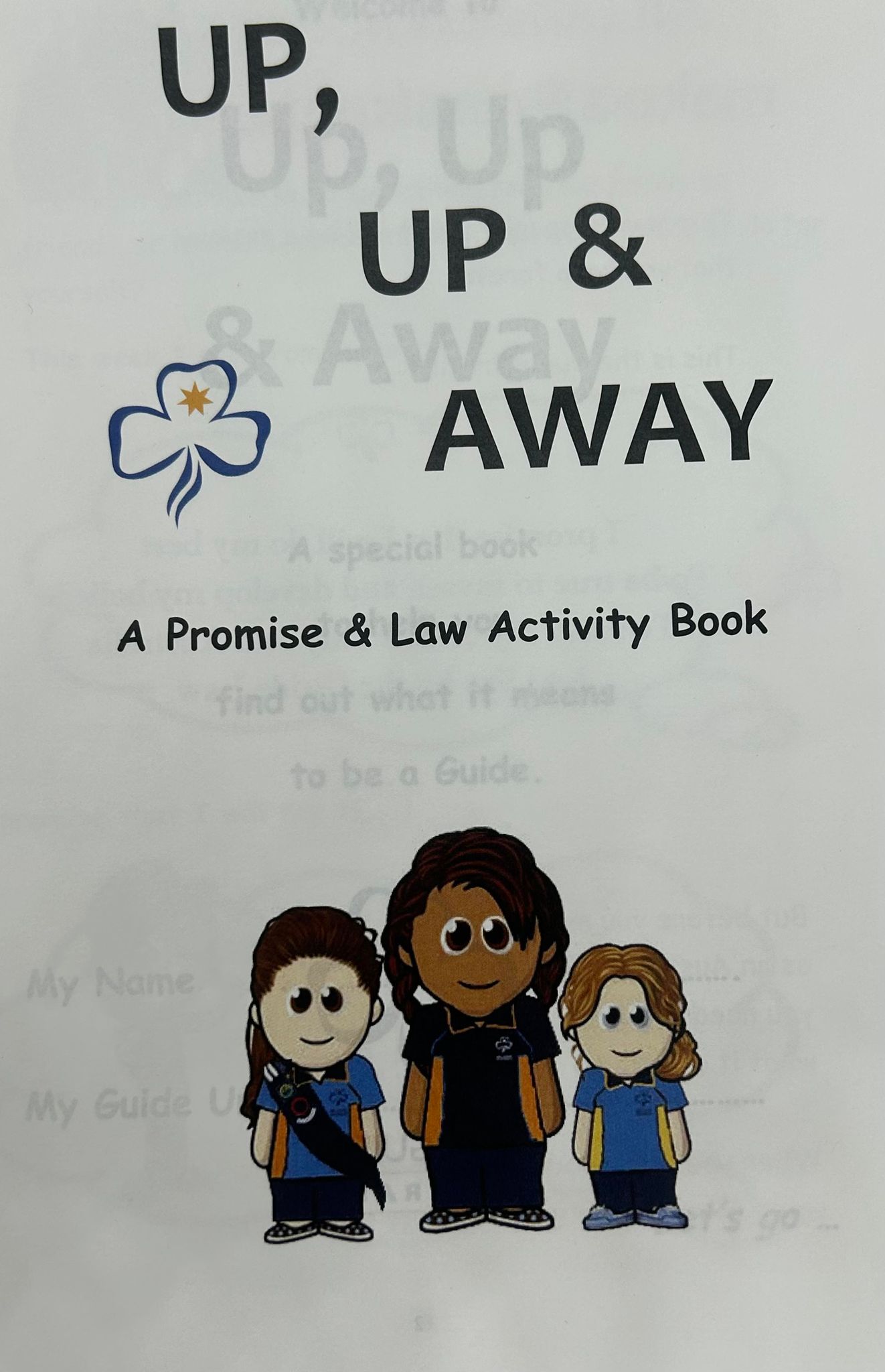 a promise and law activity book