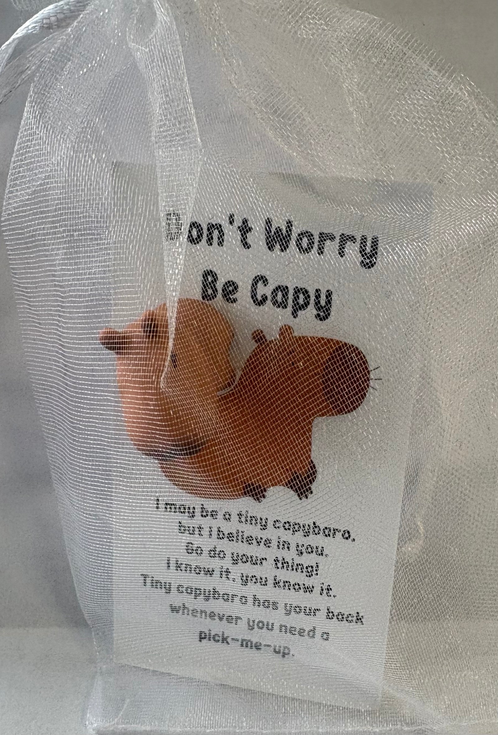 Don’t Worry Be Cappy
