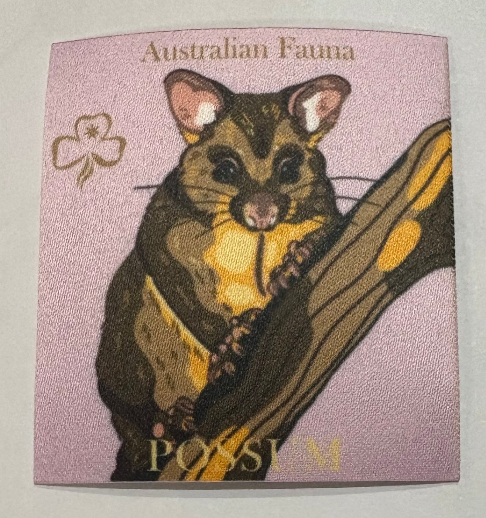A square unbound pink badge with a possum in a tree