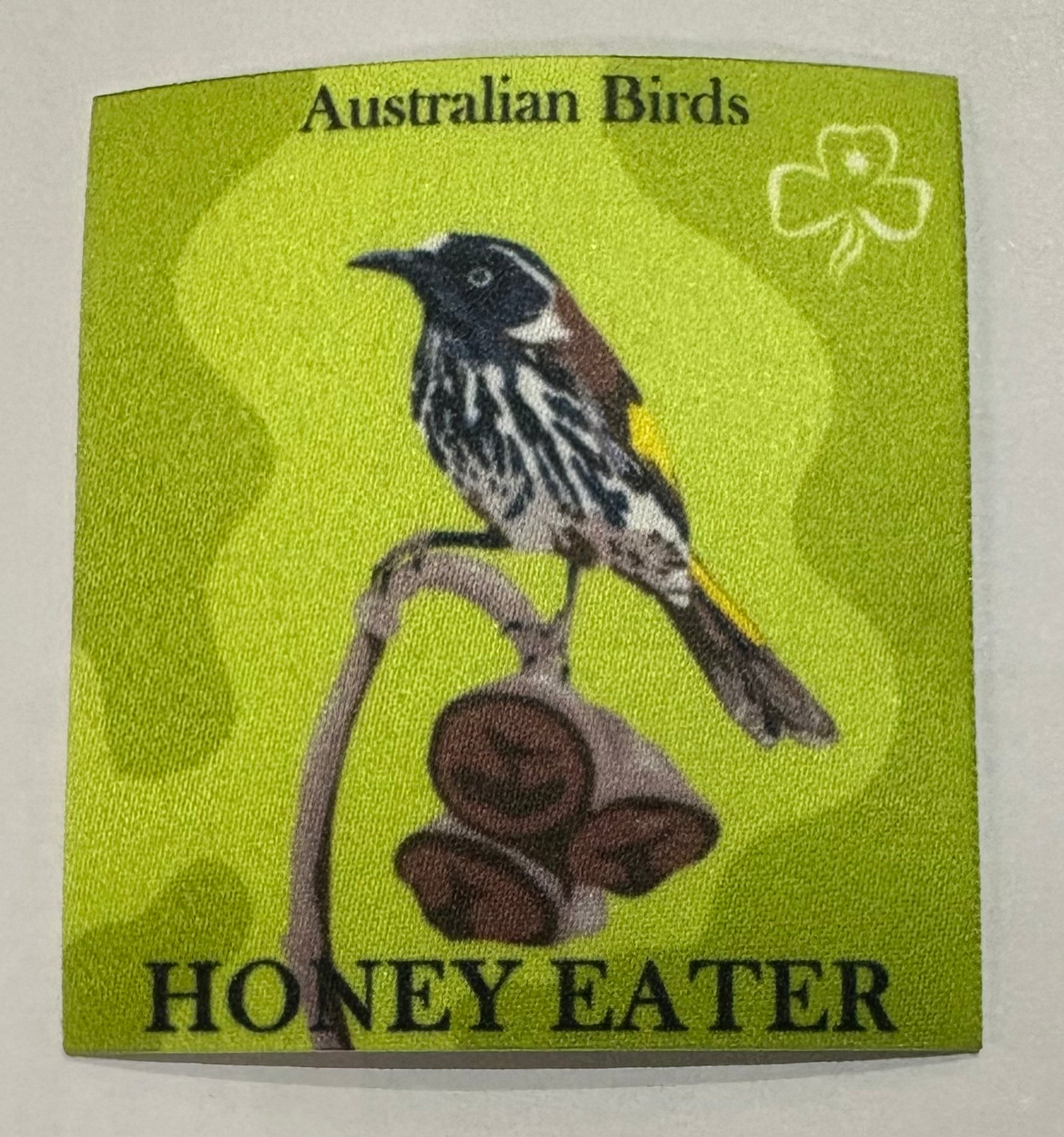 A square unbound badge with a Honey Eater
