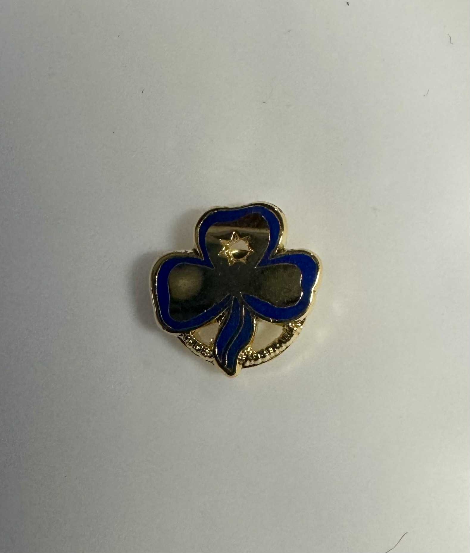 A mini version of the metal promise badge