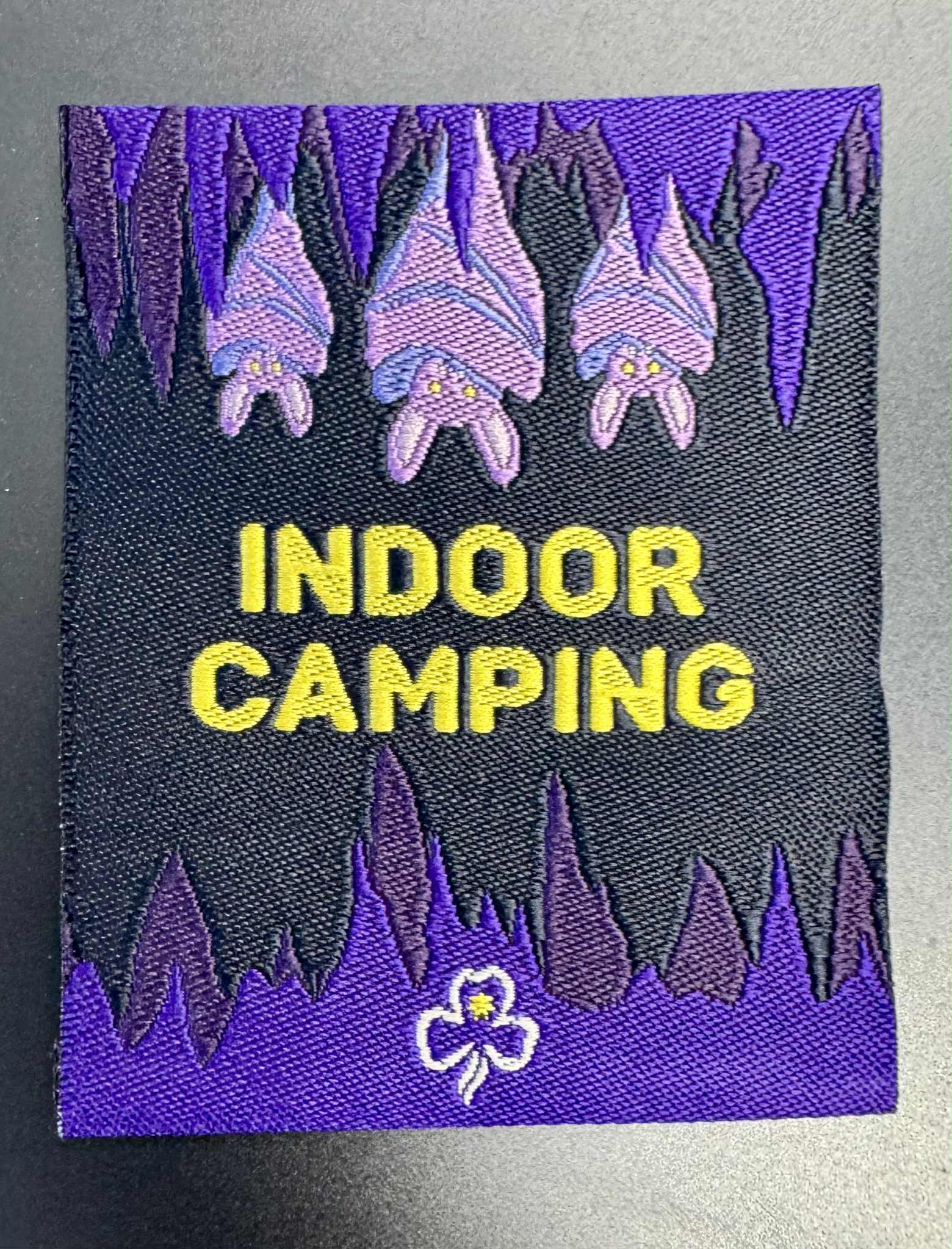 A rectangular unbound badge with the words indoor camping and three small purple bats hanging upside down 