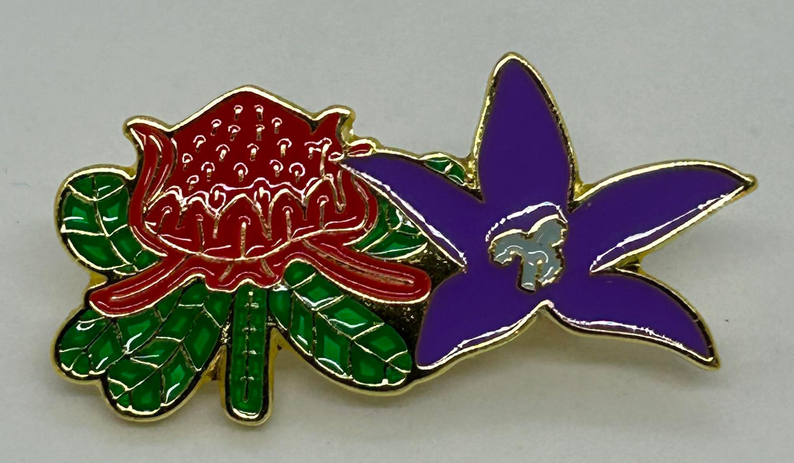 a metal badge with the NSW and ACT floral emblems