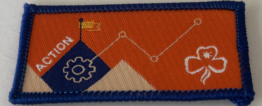 a rectangular badge bound in blue with an orange background with the trefoil and a settings cog and the word action
