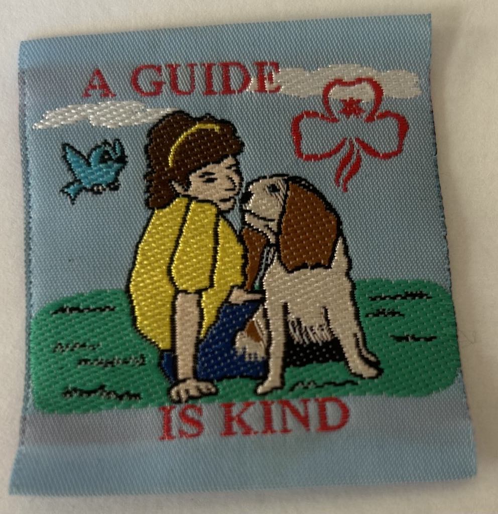 a square unbound light blue badge with a girl with a dog sitting on the grass