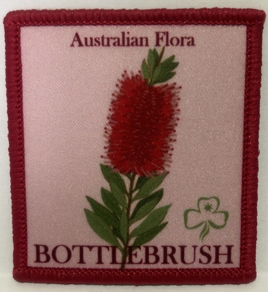 a square badge bound in red with a pink background with a picture of a bottlebrush