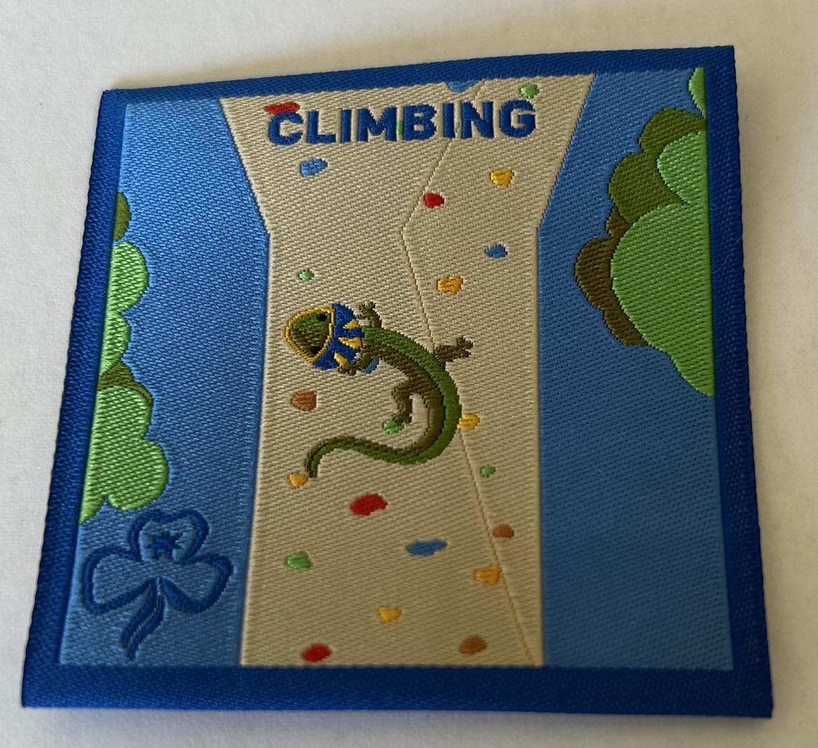 a square unbound badge with a lizard climbing a rock climbing wall