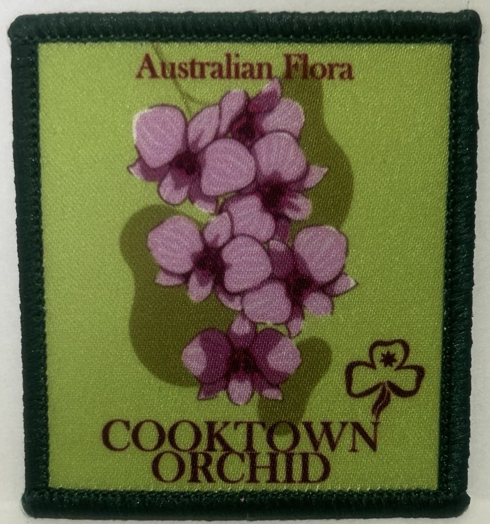 a square badge bound in dark green with a lime green background with a picture of a Cooktown orchid