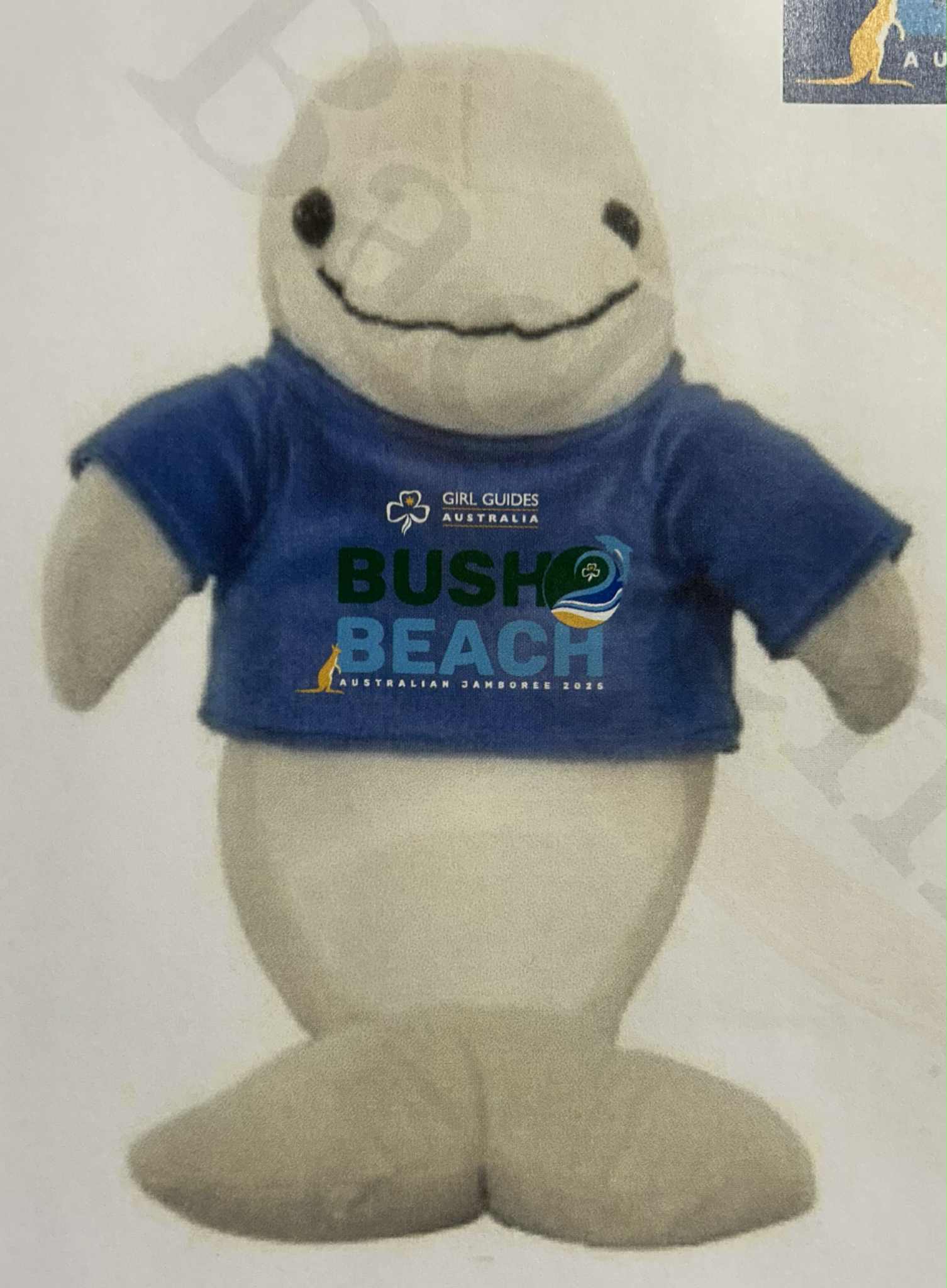 B2B Jamboree Dolphin plush toy mascot - "Echo"
