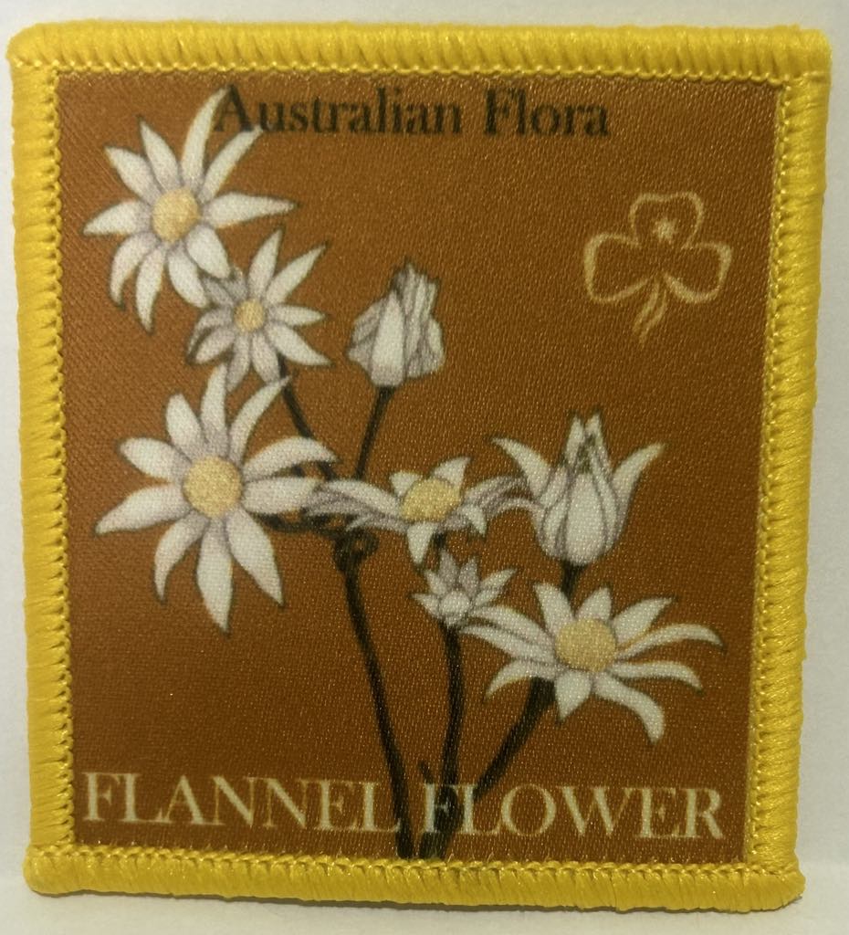 a square badge bound in yellow with a broom background with a picture of a flannel flower