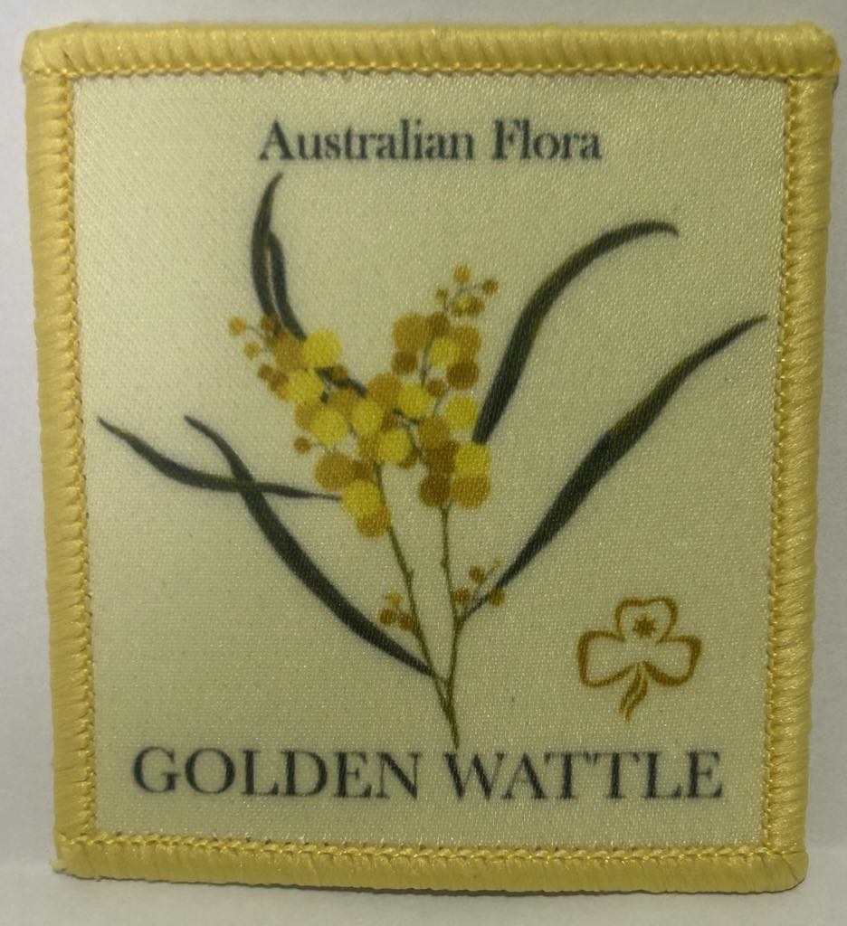 a square badge bound in yellow with a light yellow background with a picture of a golden wattle