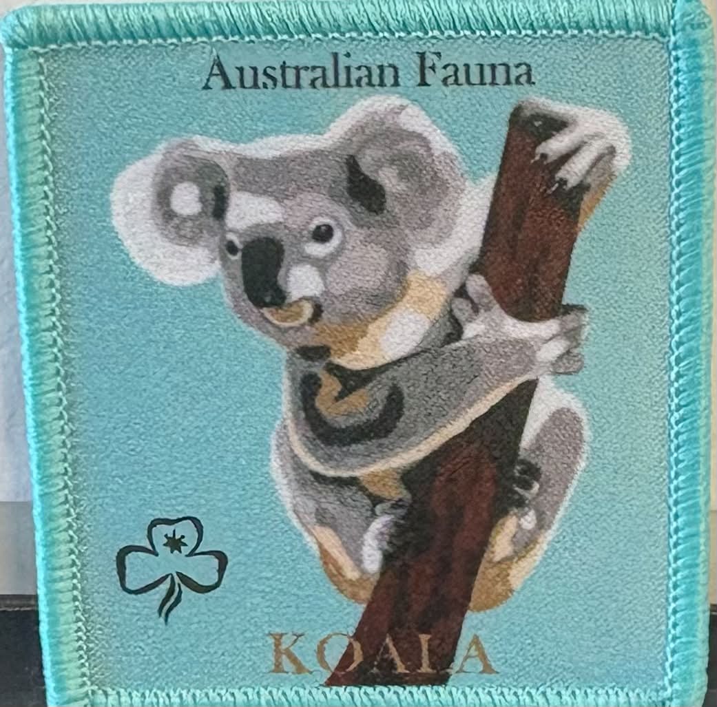 A square embroidered badge featuring a koala clinging to a tree branch, with the text 'Australian Fauna' at the top and 'KOALA' at the bottom. A black clover-like emblem appears in the lower left. Bound in light blue.