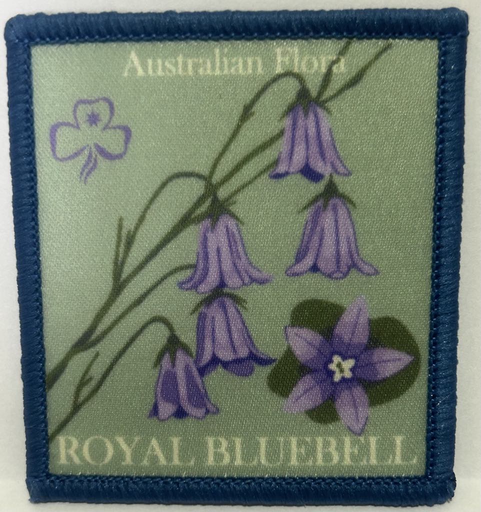 a square badge bound in blue with a light green background with a royal bluebell flower
