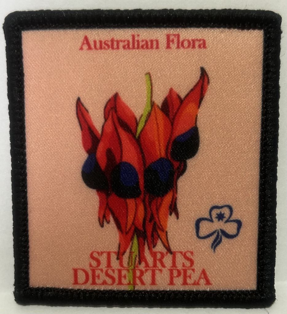 a square badge bound in black with a peach coloured background with a picture of a  stuarts desert pea
