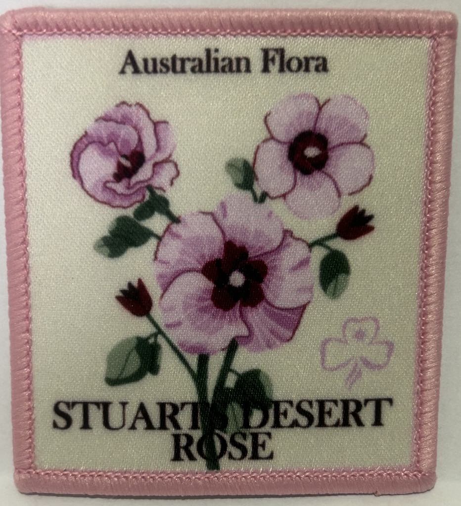 a square badge bound in pink with a cream background with a picture of a stuarts desert rose