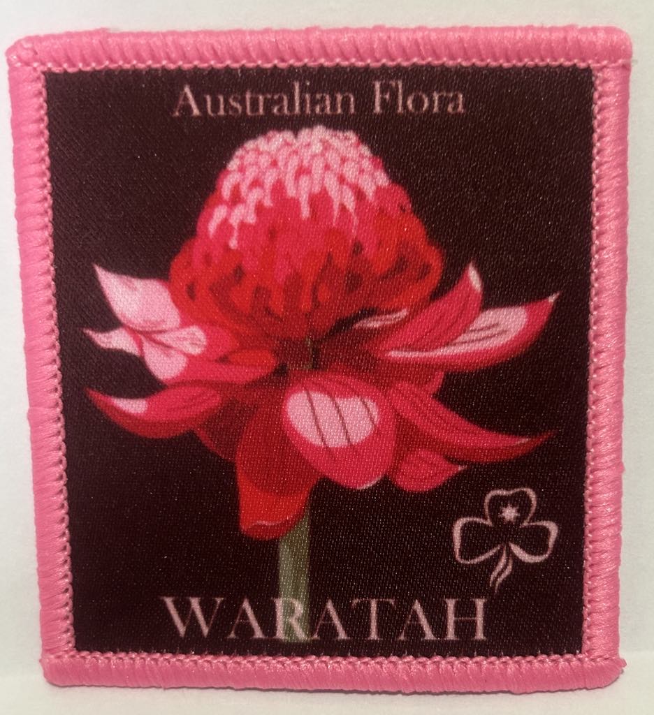 a square badge bound in pink with a mauve background with a picture of a Waratah 