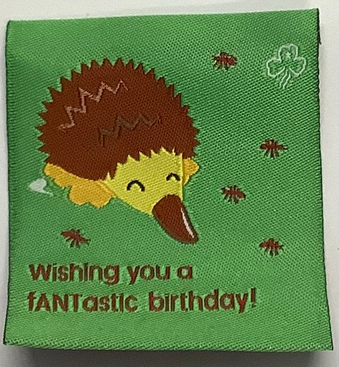 a square unbound green badge with an echidna